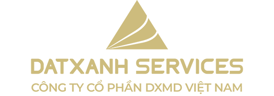 DMXM VIỆT NAM